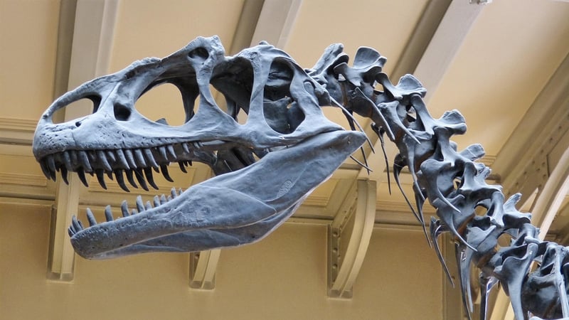 Dinosaur